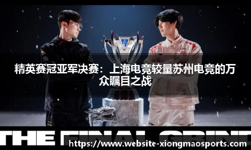 精英赛冠亚军决赛：上海电竞较量苏州电竞的万众瞩目之战